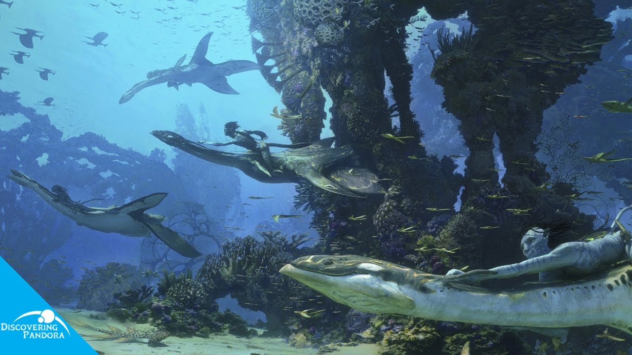 underwater with ilu's in frame